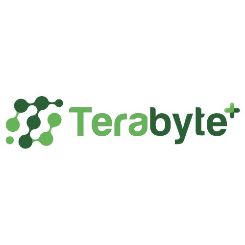 TERA logo