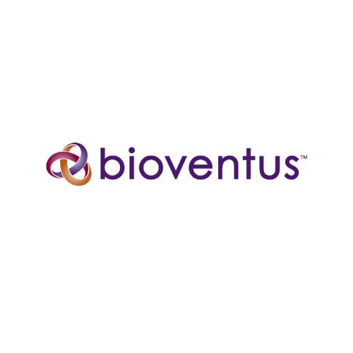 BVS logo