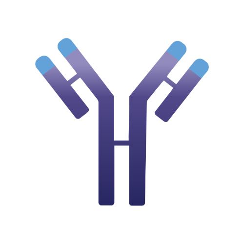 IMVT logo
