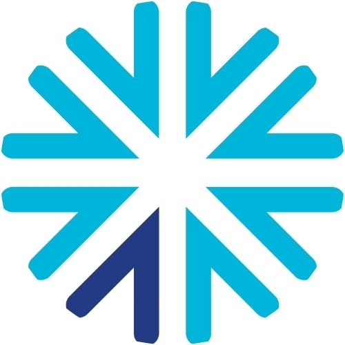 INDV logo