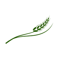 SDOT logo