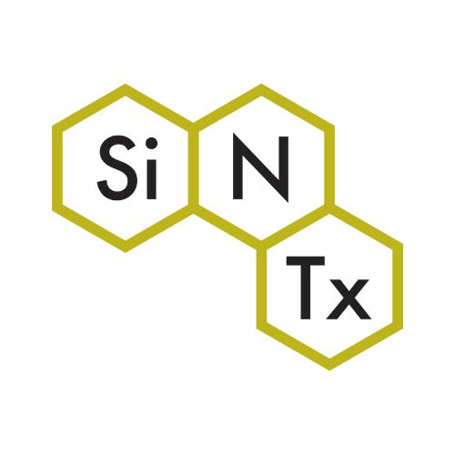 SINT logo