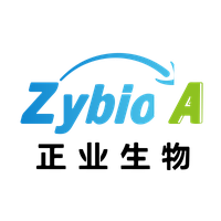 ZYBT
